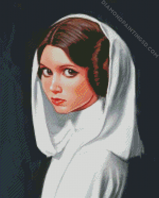 Princess Leia diamond painting