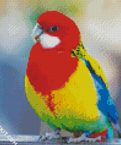 Rainbow Parekeet Diamond Paintings