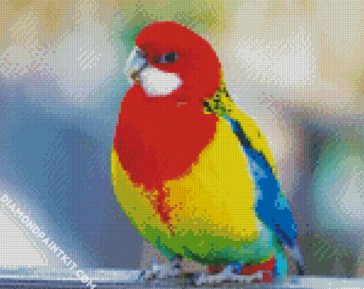 Rainbow Parekeet Diamond Paintings