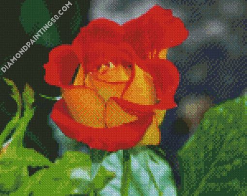 Red And Yellow Floribunda diamond painting