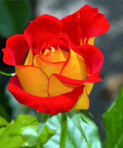 Red And Yellow Floribunda diamond painting