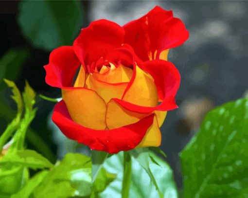 Red And Yellow Floribunda diamond painting