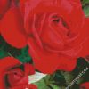 Red Floribunda diamond painting