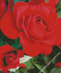 Red Floribunda diamond painting