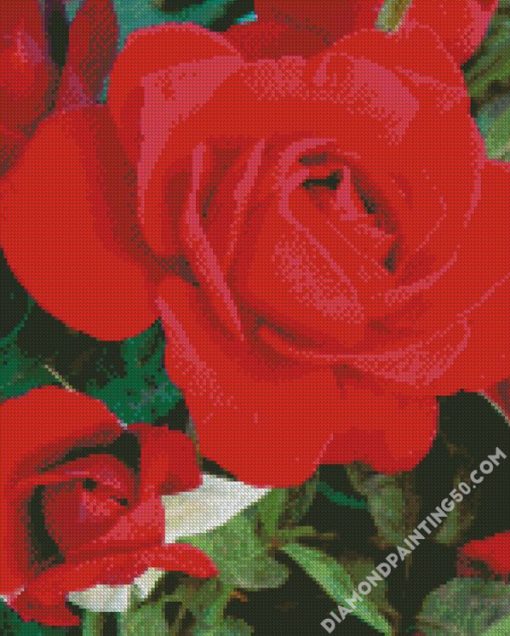 Red Floribunda diamond painting