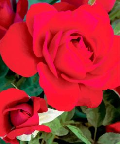 Red Floribunda diamond painting