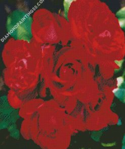 Red Floribundas diamond painting