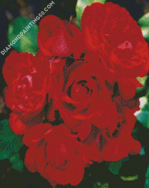 Red Floribundas diamond painting