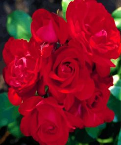 Red Floribundas diamond painting