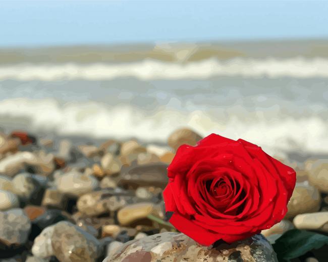 Red Roses And Beach Diamond Paintings