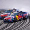 Red Bull BMW M4 Cars Diamond Paintings