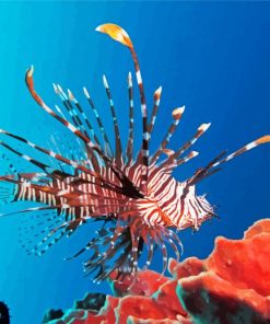 Red Lionfish Near Gilli Banta Diamond Paintings