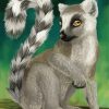 Ring Tailed Lemur Animal diamond painting