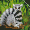 Ring Tailed Lemur Primate diamond painting