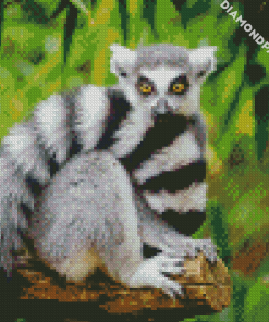 Ring Tailed Lemur Primate diamond painting