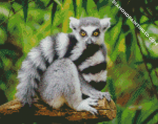 Ring Tailed Lemur Primate diamond painting