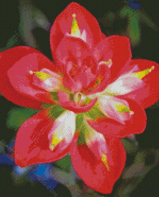 Aesthetic Indian Paintbrush Flower Diamond Paintings