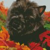 Aesthetic Black Cairn Terrier Art Diamond Paintings