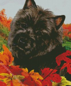 Aesthetic Black Cairn Terrier Art Diamond Paintings