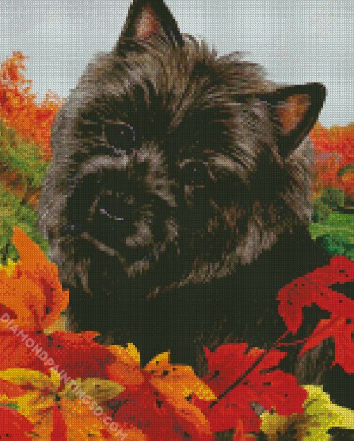 Aesthetic Black Cairn Terrier Art Diamond Paintings