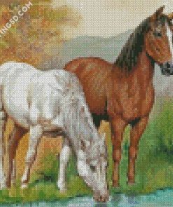 Animals Horses Drinking Diamond Paintings