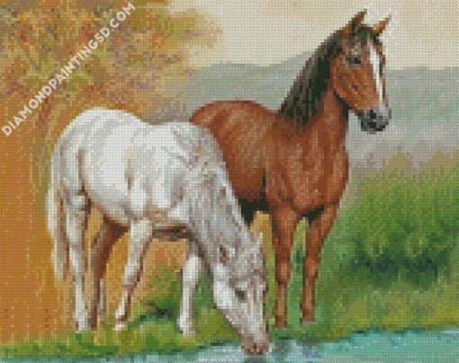 Animals Horses Drinking Diamond Paintings