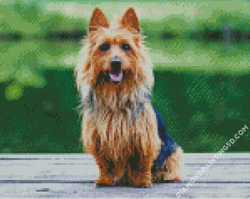 Australian Terrier Diamond Paintings