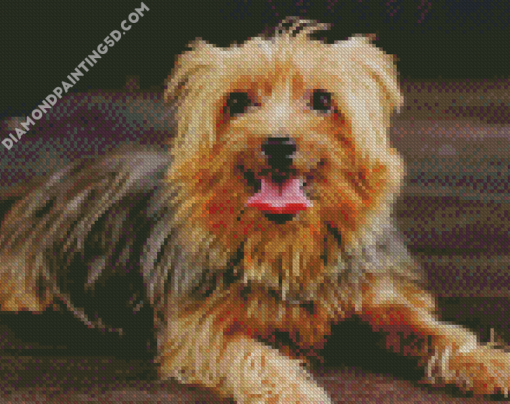 Australian Terrier Dog Animal Diamond Paintings