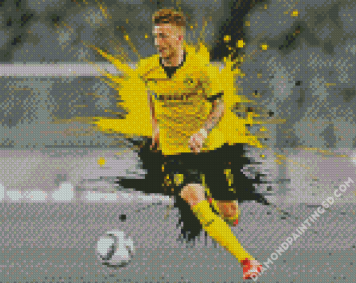 Borussia Dortmund Professional Player Diamond Paintings