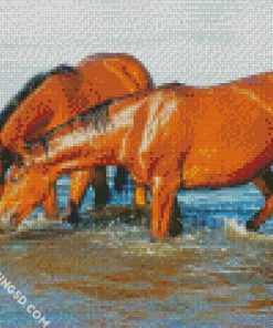 Brown Horses Drinking Water Diamond Paintings