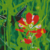 Butterfly On Indian Paintbrush Diamond Paintings