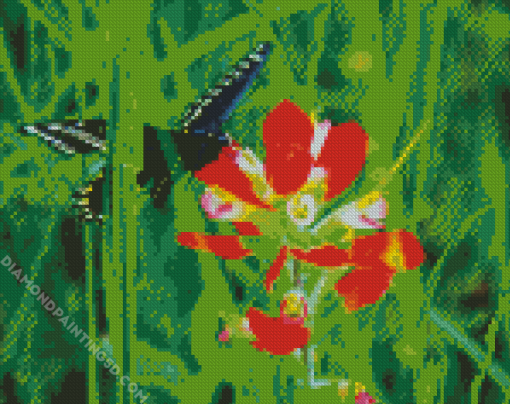 Butterfly On Indian Paintbrush Diamond Paintings