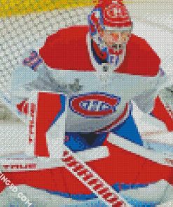 Carey Price Diamond Paintings