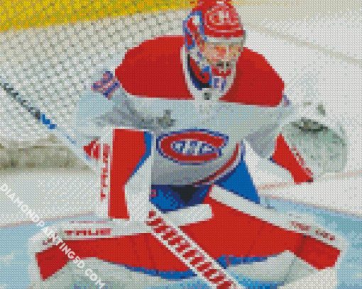 Carey Price Diamond Paintings