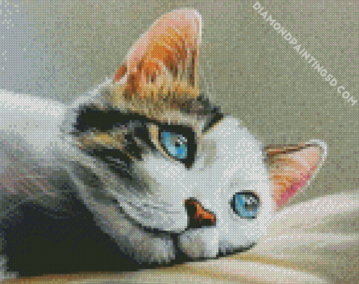 Cat Pastel Art Diamond Paintings