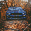 Ford Shelby GT350R Car Diamond Paintings