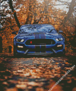 Ford Shelby GT350R Car Diamond Paintings