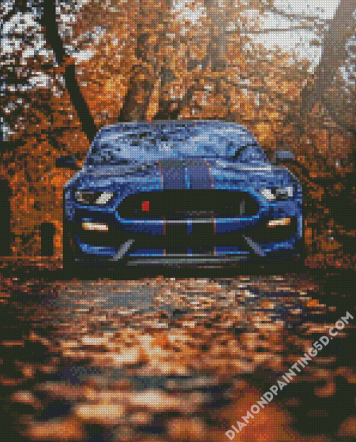 Ford Shelby GT350R Car Diamond Paintings