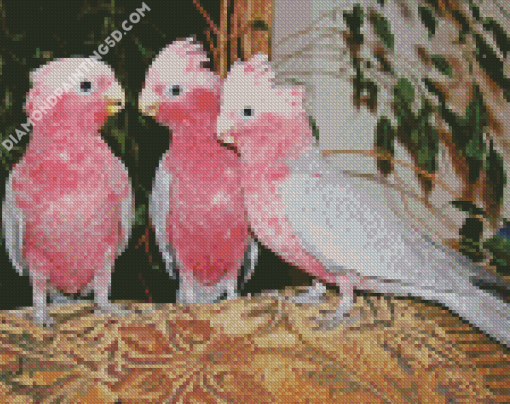 Grey And Pink Cackatoo Birds Diamond Paintings