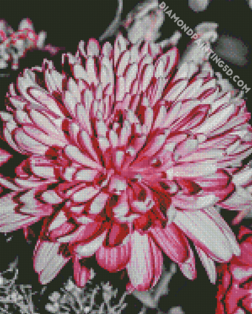 Grey And Pink Flower Diamond Paintings