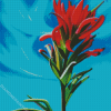 Indian Paintbrush Art Diamond Paintings