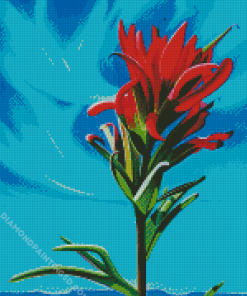 Indian Paintbrush Art Diamond Paintings