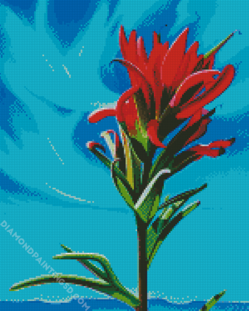 Indian Paintbrush Art Diamond Paintings