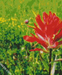 Indian Paintbrush Flower Diamond Paintings