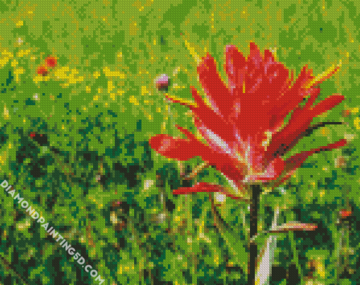 Indian Paintbrush Flower Diamond Paintings