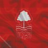 Nottingham Forest Football Club Flag Diamond Paintings