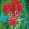 Pink Indian Paintbrush Diamond Paintings