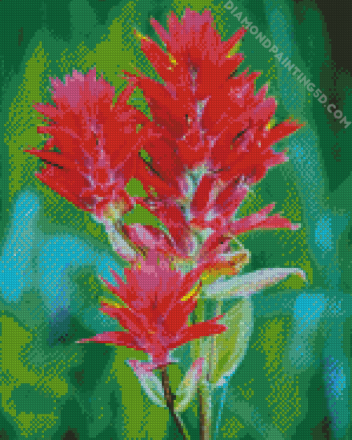 Pink Indian Paintbrush Diamond Paintings