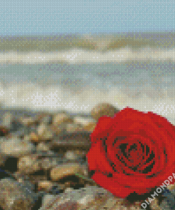 Red Roses And Beach Diamond Paintings