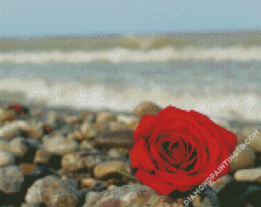 Red Roses And Beach Diamond Paintings